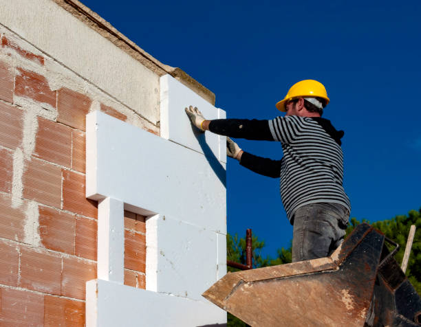Best Geographic-Specific Insulation Services in Verona Walk, FL