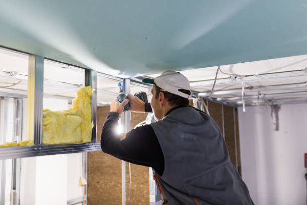 Best Insulation for Specific Applications in Verona Walk, FL