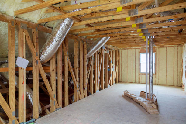 Best Cellulose Insulation in Verona Walk, FL