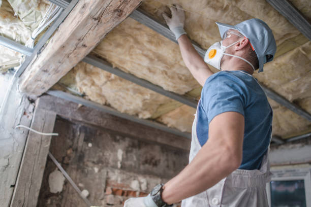 Best Specialized Insulation Services in Verona Walk, FL