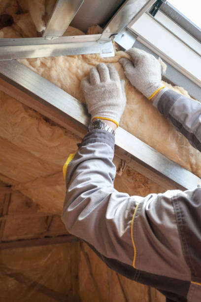 Best Spray Foam Insulation in Verona Walk, FL