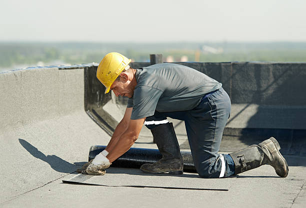 Best Spray Foam Insulation in Verona Walk, FL