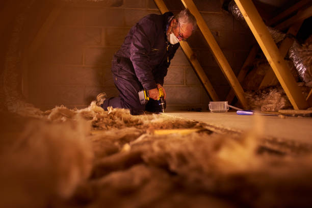 Best Insulation for Specific Applications in Verona Walk, FL